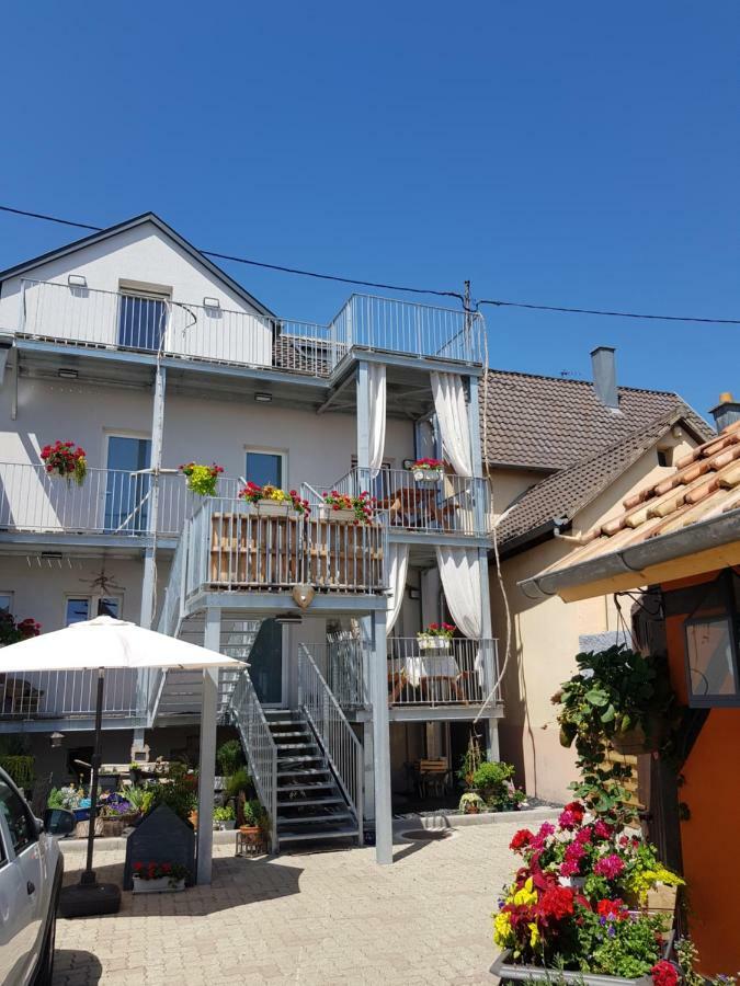 Ferienwohnung Au Gre De L'Ill 'Les Cigognes' Horbourg Exterior foto